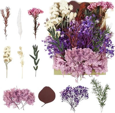 Dried Flowers voor Creatieve Projecten - Gedroogde Bloemen voor DIY Kunst, Hars, Scrapbooking, Sieraden en Decoraties (Paars)