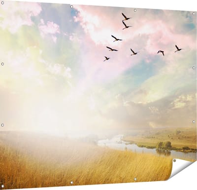 Gards Tuinposter Groep Vogels Vliegen Boven het Gras - 150x120 cm - Tuindoek - Tuindecoratie - Wanddecoratie buiten - Tuinschilderij