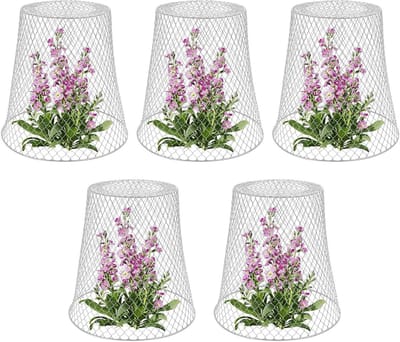 Gewasbescherming tegen dieren - Plantenbeschermers - Bescherming van planten - Robuust metaaldraad - 5 stuks - Zwart