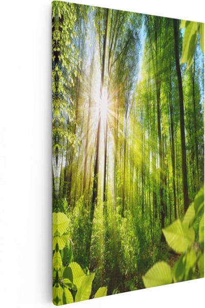 Artaza Canvas Schilderij Bos - 80x120 cm - Groot - Wanddecoratie Natuur - Muurdecoratie Zonsondergang - Schilderijen Op Canvas