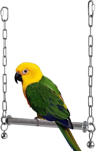 Vogel Schommel - Hangoor Zitstok - Vogels Trainen - Roestvrij Staal - 31x35 cm - Multicolor
