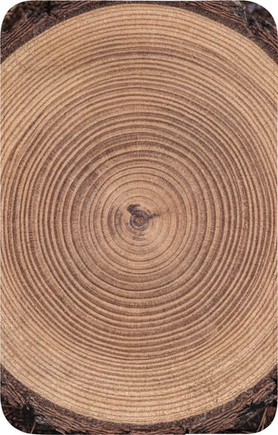 WC mat 50x80 cm - Antislip - Boomstam - Hout - Bruin - Toiletmat - Vloermat - Douchemat - Toilet tapijt - Toiletmatten