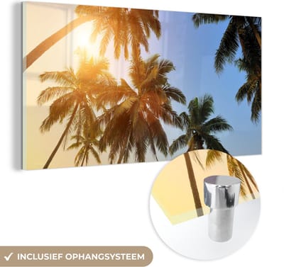 MuchoWow® Glasschilderij 40x20 cm - Schilderij acrylglas - Palmboom - Zon - Zomer - Tropical - Foto op glas - Schilderijen