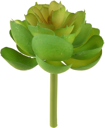Echeveria Kunstmatige Vetplanten Groen Ø7cm 6 stuks, 6 Stück