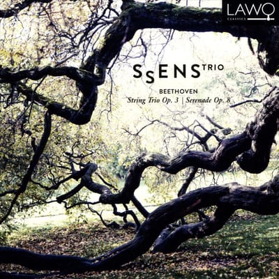String Trio Op.3/Serenade Op.8 - David Zinman