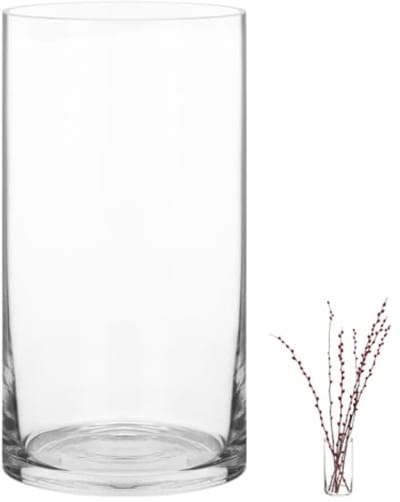 SnelShoppen - Cylindrische Glazen Vaasje 20x10cm - Modern Bloemenvase voor Elegante Tafel Decoratie - Hoogwaardige Dikte, Heldere Transparantie voor F
