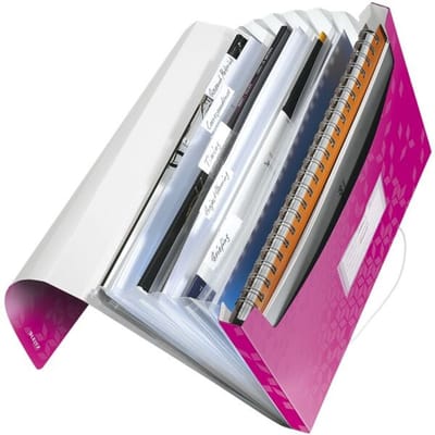 Leitz WOW Projectmap PP - met 6 Vakken - Roze