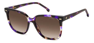 Carrera CARRERA 3002/S VIOLET HAVANA/BROWN SHADED 55/16/140 Damenbrillen Zonnebrillen