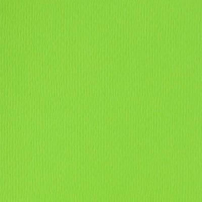 Papicolor Papier A4 lentegroen 105gr-CV 12 vel 300952 - 210x297mm