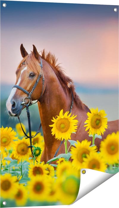 Gards Tuinposter Bruin Paard tussen de Zonnebloemen - 60x90 cm - Tuindoek - Tuindecoratie - Wanddecoratie buiten - Tuinschilderij