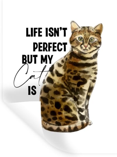 Muurstickers - Sticker Folie - Spreuken - Quotes - Katten - Life isn't perfect but my cat is - 30x40 cm - Plakfolie - Muurstickers Kinderkamer - Zelfklevend Behang - Zelfklevend behangpapier - Stickerfolie