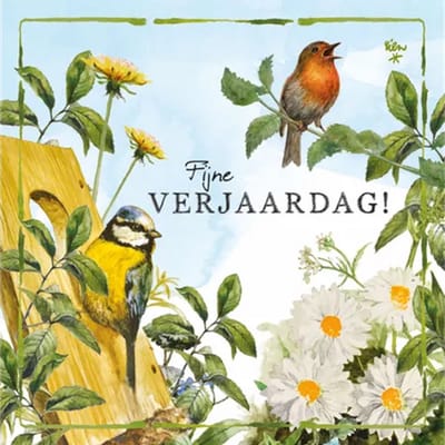 Rien Poortvliet Wenskaart Fijne VERJAARDAG! – Tuinvogels – 13,5 x 13,5 cm