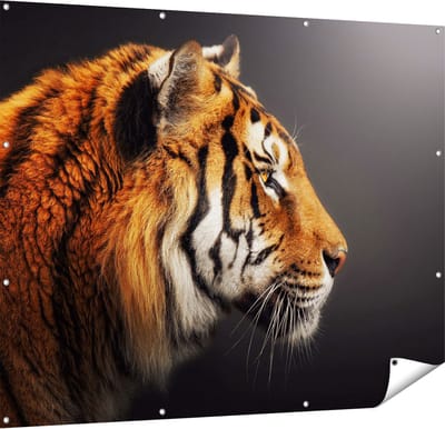 Gards Tuinposter Zijaanzicht van een Tijger - Tijgerkop - 150x120 cm - Tuindoek - Tuindecoratie - Wanddecoratie buiten - Tuinschilderij