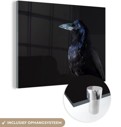 MuchoWow® Glasschilderij 160x120 cm - Schilderij acrylglas - Vogel - Dieren - Zwart - Foto op glas - Schilderijen