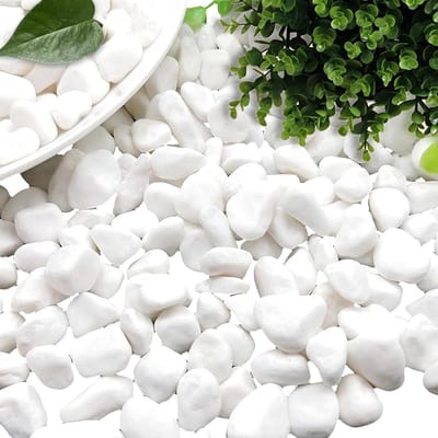 Decoratief grind - Kleine witte stenen - Bloempotten en tuinen - Natuursteen textuur - 1-3 cm - Wit