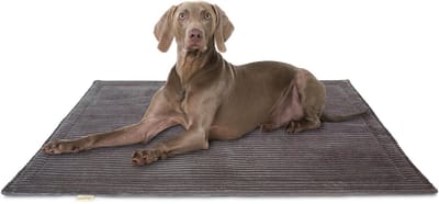 Knuffelwuff Cord Hondenkleed Timor 80x60cm bruingrijs