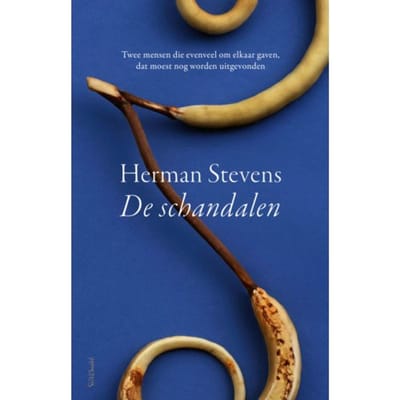 De Schandalen - Herman Stevens