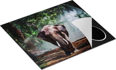 Chefcare Inductie Beschermer Olifant in het Bos - 60x50 cm - Afdekplaat Inductie - Kookplaat Beschermer - Inductie Mat