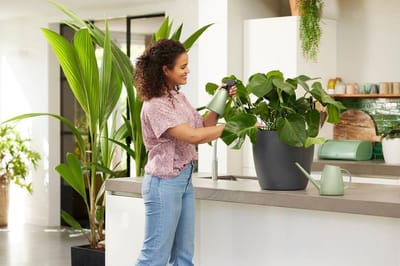 Stijlvolle gieter 1,8L voor binnenplanten en tuin - Duurzaam kunststof