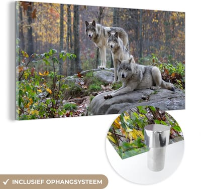MuchoWow® Glasschilderij 40x20 cm - Schilderij acrylglas - Wolven - Rots - Bos - Foto op glas - Schilderijen