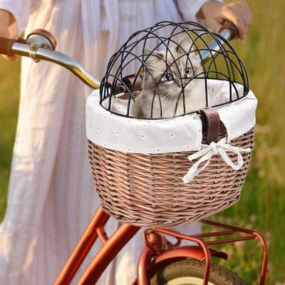 Fietsmand Huisdieren - Draagtas Dieren - Winkeluitjes Fietsen - Waterbestendig Rotan - 30x25x30 cm - Zwart