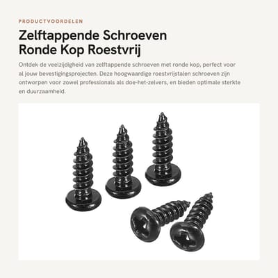 Dailygoods- Zelftappende Schroeven 3 mm x 10 mm - 100 Stuks - Ronde Kop - Roestvrij Staal - Corrosiebestendig - Duurzaam