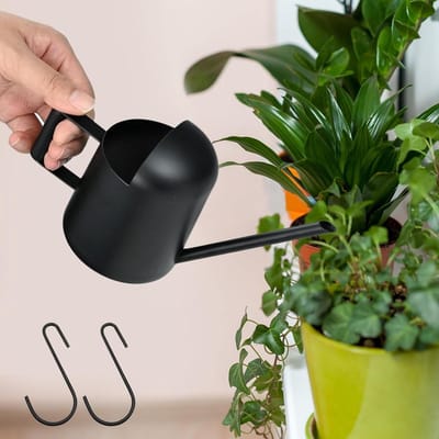 Kleine Watering Can 300 ml Roestvrij Staal met Lange Tuit en 2 S-vormige Haken voor Binnenplanten (Zwart)