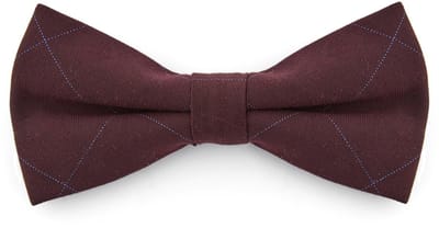 Bordeauxrode Geruite Vlinderdas