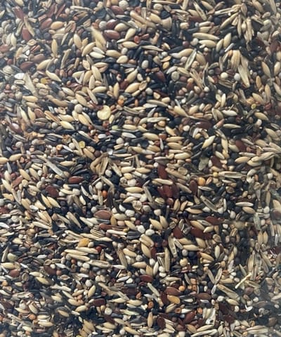 Jan Koenings Putters en Sijzenvoer nr. 3 - 5 kilo - Overige zaden - Vogelzaad - Vogelvoer - Kapoetsensijs (Carduelis cucullata)