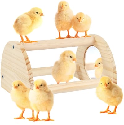 Kippenzitstok met spiegel, stevig klimrek voor kuikens, wroetstok, kippenspeelgoed, geschikt als trainings- en zitstok voor grote vogels, papegaaien, ara's en kippen (klein formaat).