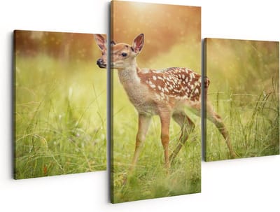 Artaza Canvas Schilderij Drieluik Baby Hert in het Gras - Bambi - 150x120 - Groot - Foto Op Canvas - Canvas Print