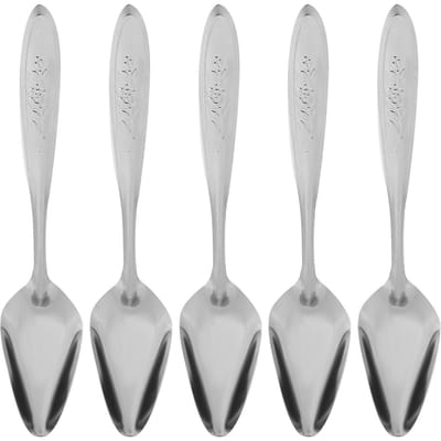 5 Pièces Cuillère à Lait en Poudre pour Perroquet en Acier Inoxydable Cuillères d'Alimentation pour Oiseaux de Compagnie