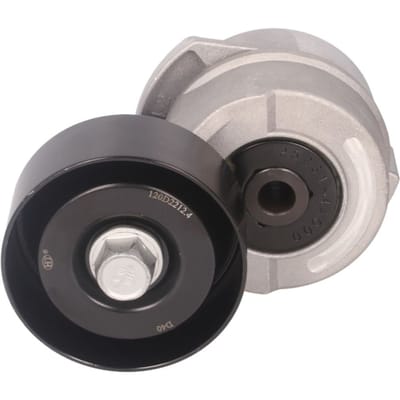 Spanpoelie, V-riem SNR GA384.11