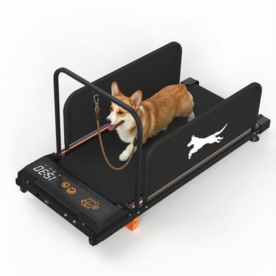 Loopband voor Honden - Honden Treadmill met Afstandsbediening - LED Display - 1-6 km/u - 110 kg - Zwart