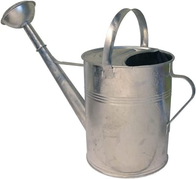 Gieter Zink - Waterkan - Planten Water Geven - Gegalvaniseerd Metaal - 9 Liter - Zilverkleurig