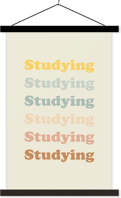 Posterhanger incl. Poster 40x60 cm - Schoolplaat - Quotes - Studeren - Student - Textielposter - Zwarte latten