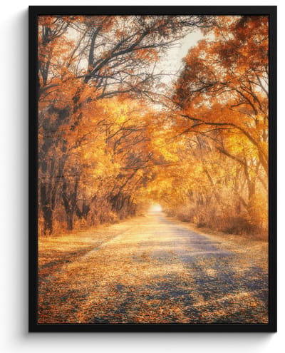 Poster in lijst - Fotolijst 50x70 cm - Posters - Bos - Herfst - Bomen - Bospad - Natuur - Posterlijst zwart - Decoratie - Wanddecoratie woonkamer - Muurdecoratie slaapkamer