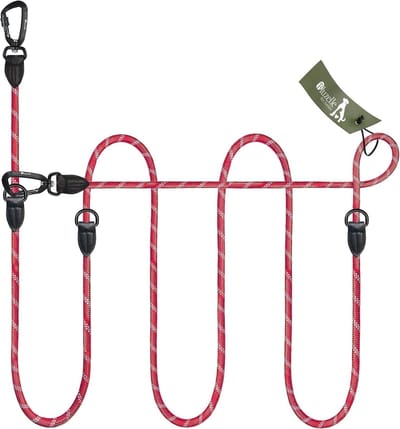 Ingesteld Nylon Hondenriem voor Middelgrote en Grote Honden - Handsfree Leiband voor 2 Honden, Verstelbaar en Reflecterend, Rood