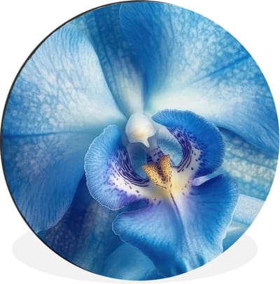 WallCircle - Wandcirkel - Muurcirkel - Blauw - Orchidee - Elegeant - Aluminium - Dibond - 30x30 cm - Binnen en Buiten