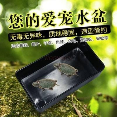 Baignoire Spécifique pour Reptiles Gardien du Palais Lézard Grenouille Cornue Jouet Serpent Petite Boîte d'Alimentation Baignoire Spéciale pour Grenouille Cornue