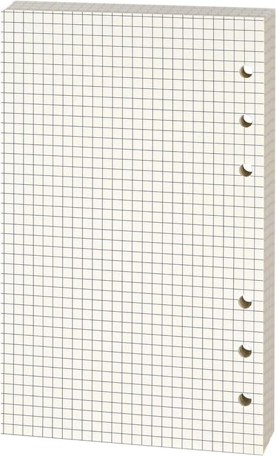 Vulbladen A6 met Ruitjes, 100 g/m², Dikke Beige Papier, Geschikt voor 6-Rings Mappen, 80 Vellen, Dubbelzijdig en Voor School en Kantoor
