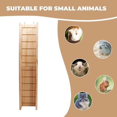 Houten klimhelling voor cavia's - SVGCommerce