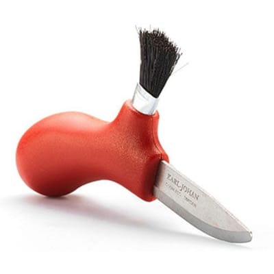 Mora karl-johan mushroom