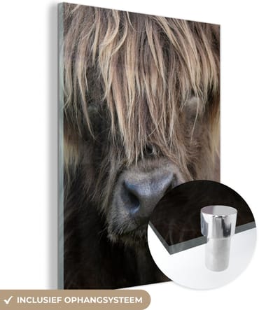 MuchoWow® Glasschilderij 90x120 cm - Schilderij acrylglas - Schotse Hooglander - Bruin - Neus - Foto op glas - Schilderijen