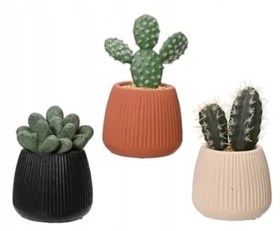 Decoratieve plant EDM 808448 Cactus 14 cm
