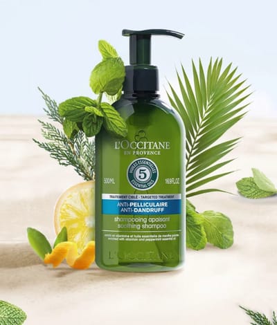 L'OCCITANE en Provence Shampoing antipelliculaire anti-Dandruff Huiles Essentielles 500 ml