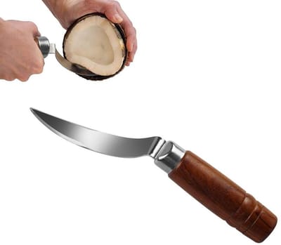 Dailygoods- Kokosnoot Opener Ergonomisch - RVS Mes - Eucalyptushandvat - Keuken Gereedschap - 23 x 2,8 cm - Slijtvast Lemmet - Fruitmes