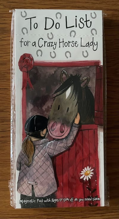 Alex Clark Magnetic Notepad Crazy Horse Lady ~ Magnetisch Notitieblok Paardenmeisje