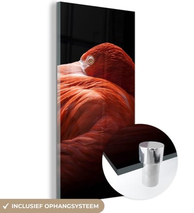 MuchoWow® Glasschilderij 20x40 cm - Schilderij acrylglas - Flamingo - Veren - Roze - Foto op glas - Schilderijen