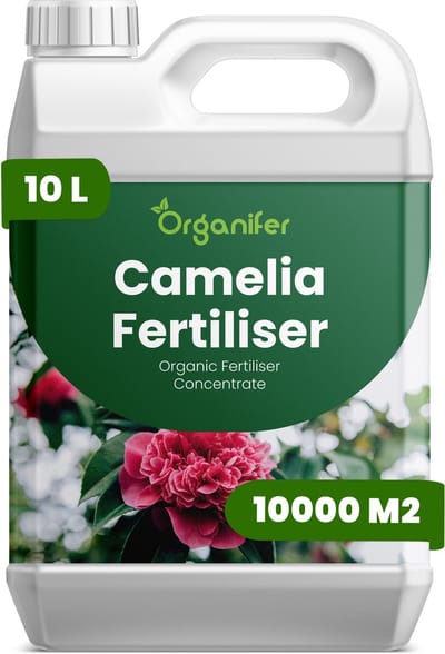 Vloeibare Meststof Voor Camellia 10 L Voor 10000 M2 - Npk 3-4-3 - Knopvorming - Rijke Bloei - Sterk Wortelstelsel - Koel Seizoensstress - Bladglans - Kleurintensiteit - Groenblijvende Vitaliteit - Langdurige Bloei - Organifer